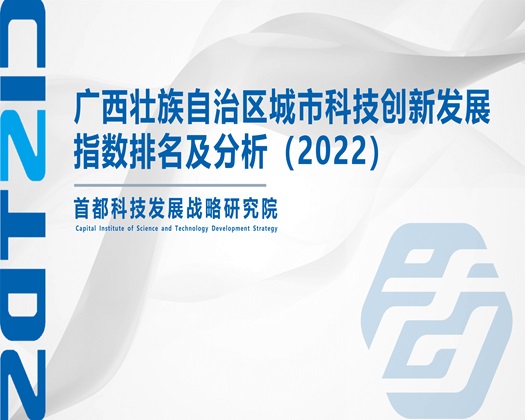 啊,操大鸡吧视频【成果发布】广西壮族自治区城市科技创新发展指数排名及分析（2022）